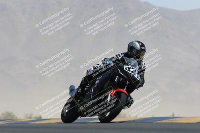 media/May-13-2023-SoCal Trackdays (Sat) [[8a473a8fd1]]/Turn 9 (11am)/